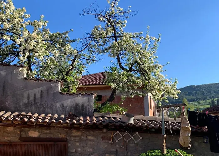 карагьозовата къща - цяла къща - 6 големи спални, 6 бани и отделна механа